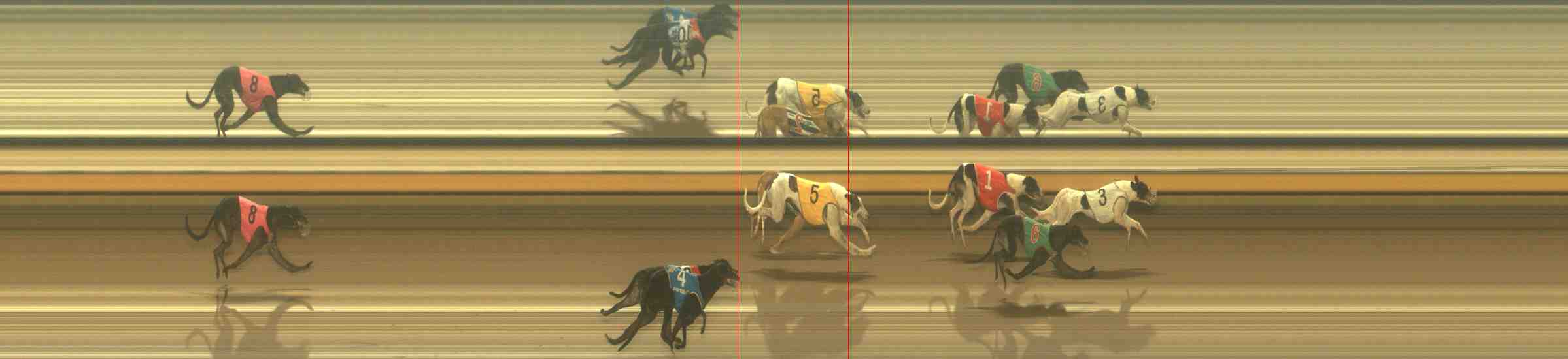 Race result finish photo